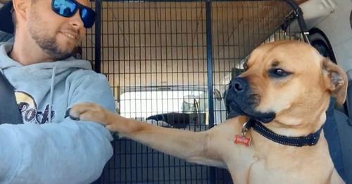 Rescue Dog keeps Paw on new Dad at all times to make sure he won’t be Le.ft Again…!