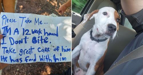 Officers Were Stunned When They Read The Note Found Next To The Abandoned Puppy