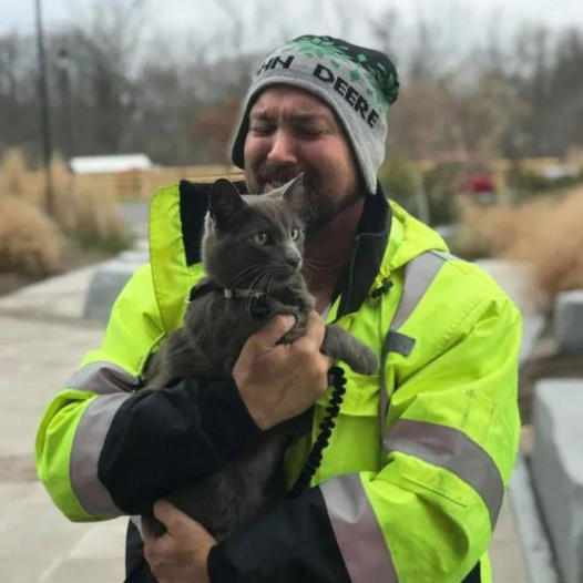 Truck Driver’s Heartwarming Reunion with Beloved Cat in New York After Five-Month Separation