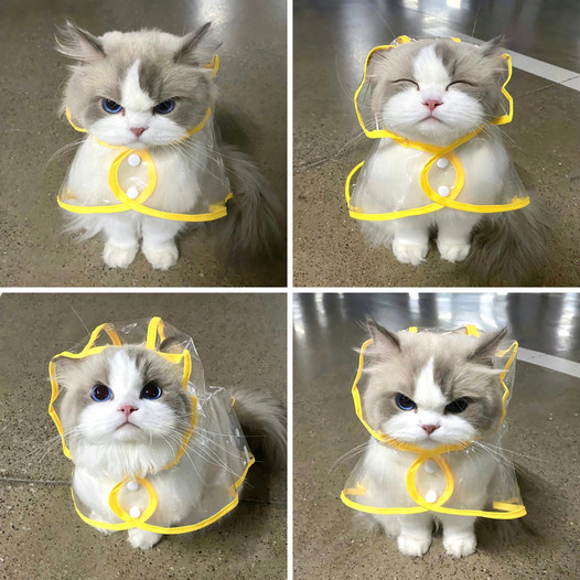 Meet Lison, the girl with an extremely adorable raincoat collection