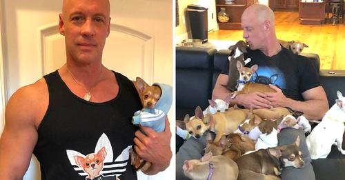 Man That Used To Make Fun Of Tiny Dogs Gets Rescued By A Chihuahua, Now Dedicates His Life To Saving Them