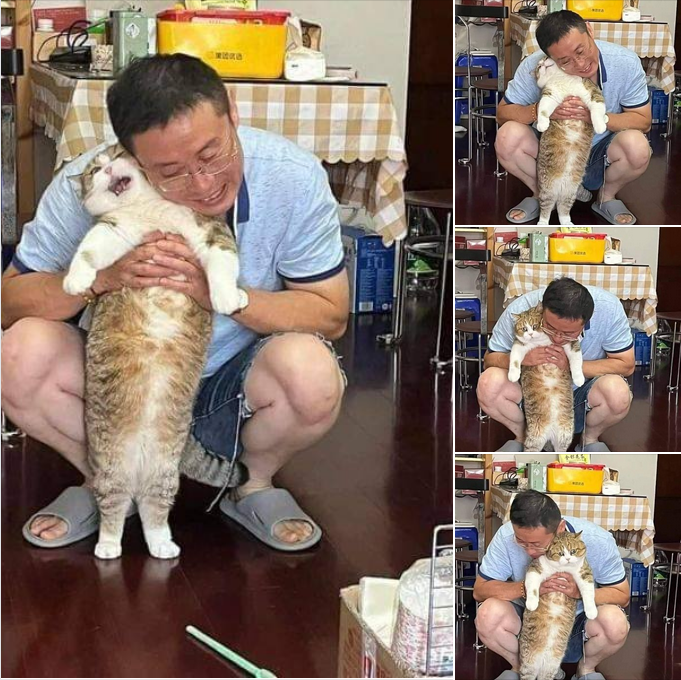 Heartwarming Hugs: Grandpa’s Tender Embrace for His Beloved Cat 🐱❤️🤗