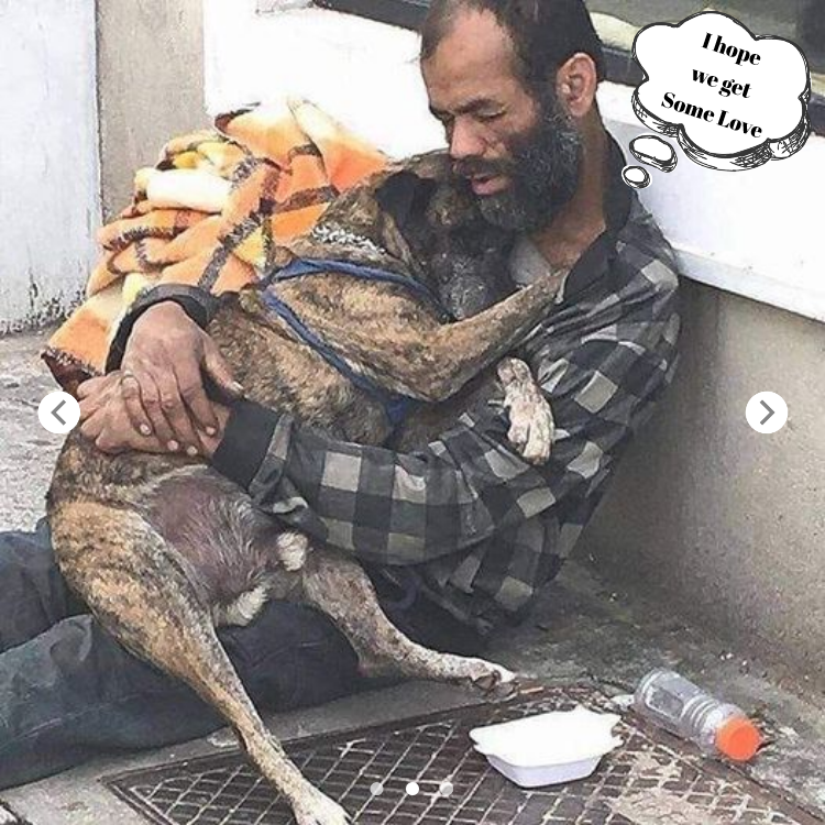 A Heartwarming Bond: A Rescued Dog Finds Solace in a Compassionate Homeless Man