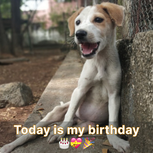 Today is my birthday. I really want to share that joy with you