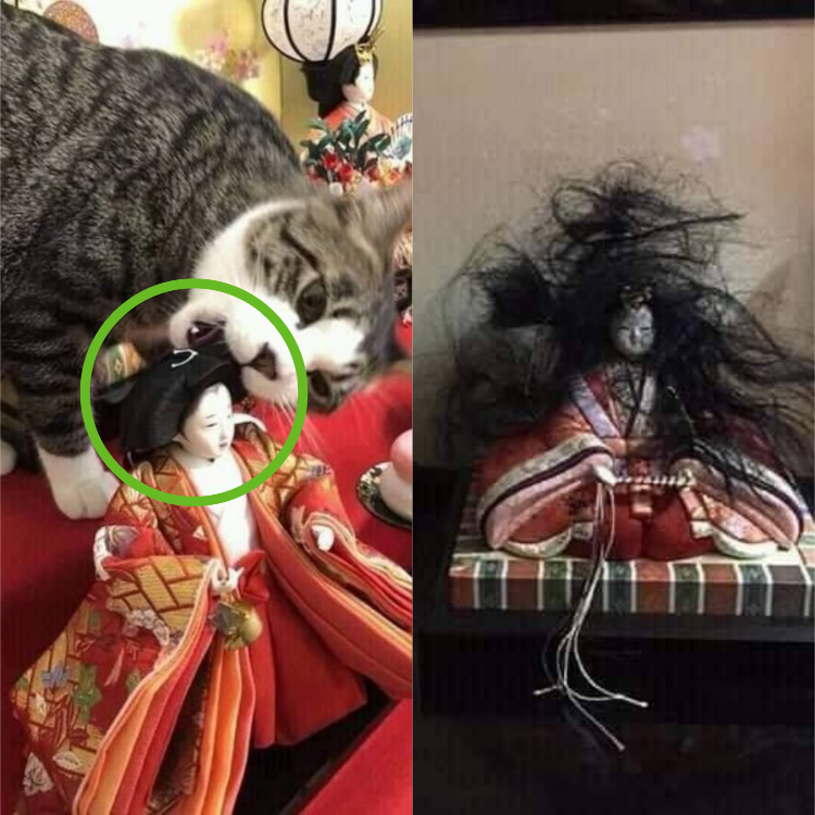 “Mischievous Tabby Cat Turns Statue’s Hair into a Spooky Mess”