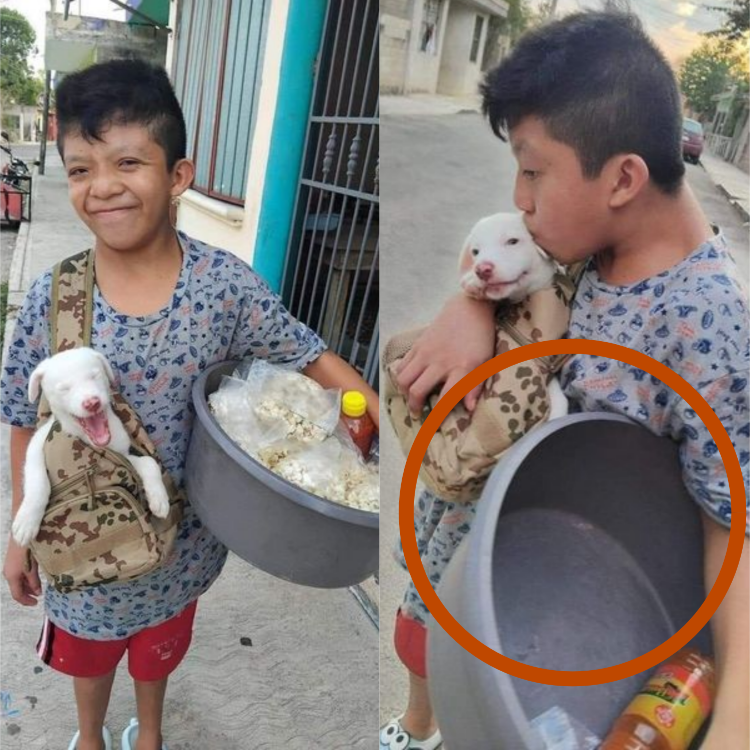 A Kindhearted Little Vendor: A Boy and His Puppy on the Streets