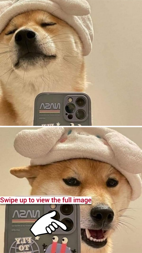 Shiba Inu Flaunts Top-Tier Beauty in a Bathroom Mirror Selfie Shoot