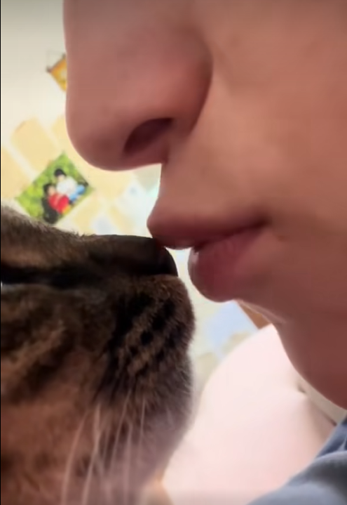 “Unbreakable Bond: Warm Kisses Between a Cat and Its Human”